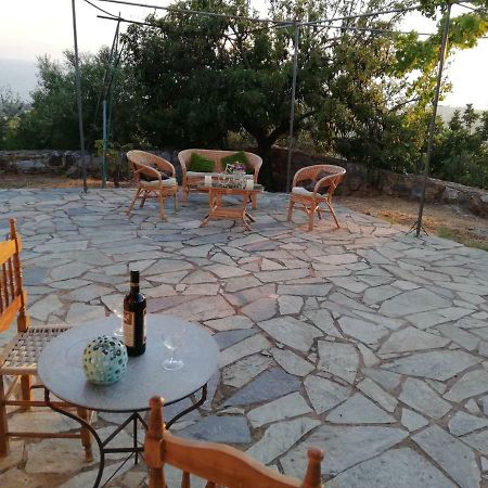 Theasea House With Garden Apartamento Riglia Exterior foto